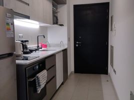 1 Bedroom Apartment for rent in Feria Pinto, Cautin, Nueva Imperial, Cautin