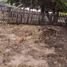  Grundstück zu verkaufen in Othon P Blanco, Quintana Roo, Othon P Blanco