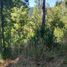  Terreno (Parcela) en venta en Los Ríos, Valdivia, Valdivia, Los Ríos