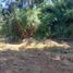  Terreno (Parcela) en venta en Los Ríos, Valdivia, Valdivia, Los Ríos