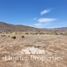  Terreno (Parcela) en venta en Coquimbo, Coquimbo, Elqui, Coquimbo