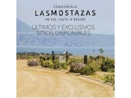  Land for sale in Chile, Coquimbo, Elqui, Coquimbo, Chile