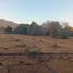  Land for sale in Chile, Coquimbo, Elqui, Coquimbo, Chile