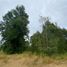  Land for sale in Chile, Villarrica, Cautin, Araucania, Chile