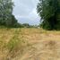  Land for sale in Chile, Villarrica, Cautin, Araucania, Chile