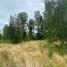  Land for sale in Chile, Villarrica, Cautin, Araucania, Chile