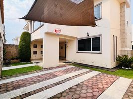 4 Habitación Casa en alquiler en Toluca, México, Toluca