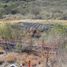 Studio Villa for sale in Cadereyta Jimenez, Nuevo Leon, Cadereyta Jimenez