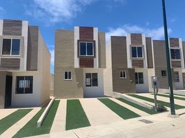 Condominium 2 chambre à louer à Tijuana, Baja California, Tijuana, Baja California