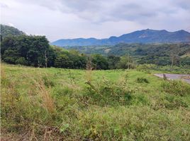  Terreno (Parcela) en venta en Pereira, Risaralda, Pereira