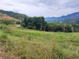  Terreno (Parcela) en venta en Pereira, Risaralda, Pereira