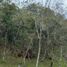  Land for sale in San Vicente, Antioquia, San Vicente