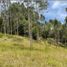  Terrain for sale in Guarne, Antioquia, Guarne