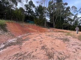  Terreno (Parcela) en venta en Guarne, Antioquia, Guarne