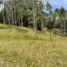  Terrain for sale in Guarne, Antioquia, Guarne