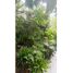 4 Habitación Villa en venta en Medellín, Antioquia, Medellín