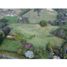  Land for sale in El Carmen De Viboral, Antioquia, El Carmen De Viboral