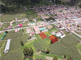  Terreno (Parcela) en venta en Coya, Calca, Coya