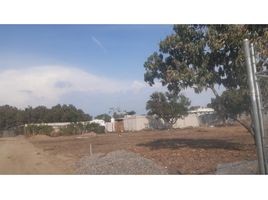  Land for sale in Compostela, Nayarit, Compostela