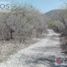  Land for sale in Llera Tamaulipas, Llera