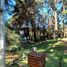  Land for sale in Villa Gesell, Buenos Aires, Villa Gesell