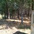  Land for sale in Neuquen, Lacar, Neuquen