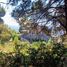  Land for sale in Neuquen, Lacar, Neuquen