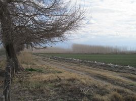  Grundstück zu verkaufen in San Carlos, Mendoza, San Carlos