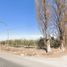  Land for sale in Maipu, Mendoza, Maipu