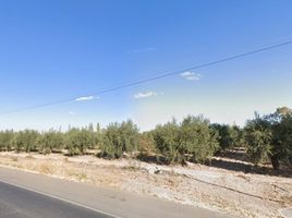  Land for sale in Maipu, Mendoza, Maipu