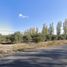  Land for sale in Maipu, Mendoza, Maipu