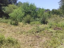  Land for sale in Punilla, Cordoba, Punilla