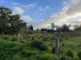  Terreno (Parcela) en venta en La Plata, Buenos Aires, La Plata