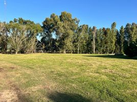  Land for sale in La Plata, Buenos Aires, La Plata