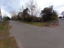  Land for sale in La Plata, Buenos Aires, La Plata