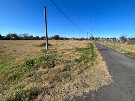  Land for sale in La Plata, Buenos Aires, La Plata