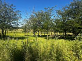  Land for sale in Calamuchita, Cordoba, Calamuchita