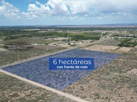  Land for sale in Confluencia, Neuquen, Confluencia