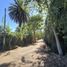  Terreno (Parcela) en venta en Maule, Longavi, Linares, Maule