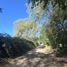  Terreno (Parcela) en venta en Maule, Longavi, Linares, Maule