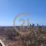  Terreno (Parcela) en venta en Chile, Coquimbo, Elqui, Coquimbo, Chile