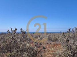  Terreno (Parcela) en venta en Chile, Coquimbo, Elqui, Coquimbo, Chile