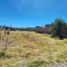  Land for sale in Neuquen, Confluencia, Neuquen