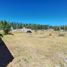  Land for sale in Neuquen, Confluencia, Neuquen