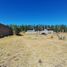  Land for sale in Neuquen, Confluencia, Neuquen