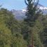  Terreno (Parcela) en venta en Araucanía, Pucón, Cautín, Araucanía