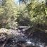  Terreno (Parcela) en venta en Araucanía, Pucón, Cautín, Araucanía