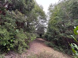  Terreno (Parcela) en venta en Araucanía, Pucón, Cautín, Araucanía