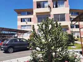 3 Habitación Apartamento en alquiler en Chile, Quilpue, Valparaíso, Valparaíso, Chile