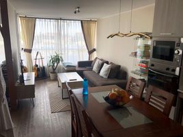 1 Bedroom Condo for rent in San Jode De Maipo, Cordillera, San Jode De Maipo